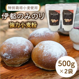 【ふるさと納税】特別栽培小麦使用 伊都のみのり 小麦 強力粉 パン 糸島 500g×2袋【天然パン工房楽楽】 いとしまごころ [AVC002] 常温 9000円 9千円