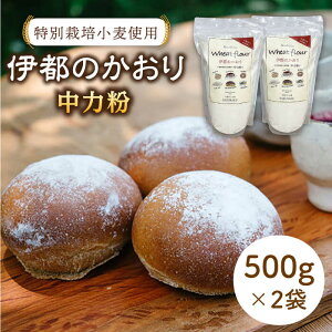 yӂ邳Ɣ[Łzʍ͔|gpuɓŝv500g×2 ᎅyVRpH[yyz/͕/p yƂ܂z[AVC052] 9000~ 9~ 퉷