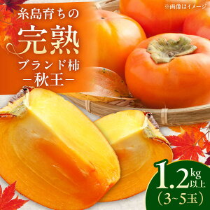 yӂ邳Ɣ[Łz sY n ` u H v 1.2kgȏ 3-5 s / J_  JL [AVQ002] ʕ t[c 12000~ 12~