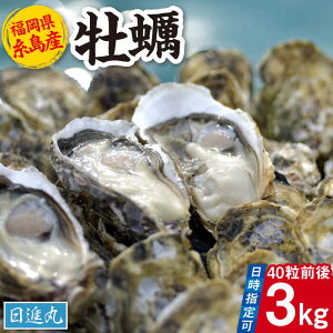 yӂ邳Ɣ[ŁzY kty Mp 3kg(40O) s / i a JL[AWA006-4] 16000~