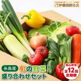 【ふるさと納税】【全12回定期便】福岡県糸島産 旬の野菜盛り合わせセット 糸島市 / ファームパーク伊都国 [AWC009] 100000円 10万円