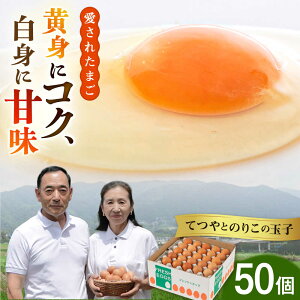 yӂ邳Ɣ[ŁzyΕΏہzy50zgɃRNIgɊÂ݁IĂƂ̂肱̋ʎq _t@[ [AWD002]  ܂ 퉷 11000~ 11~