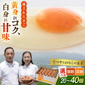 【ふるさと納税】【お中元対象】【選べる内容量・回数】黄身にコク！白身に甘み！てつやとのりこの玉子 20個/30個/40個 板垣ファーム [AWD006] 卵 たまご 常温 8千円8000円