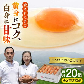 【ふるさと納税】【全3回定期便】てつやとのりこの玉子 【 20個 】 糸島市 / 板垣ファーム 卵 たまご 鶏卵[AWD016] 卵 たまご 常温 21000円 2万1千円