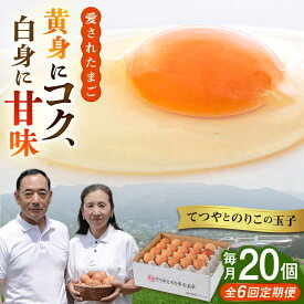 【ふるさと納税】【全6回定期便】てつやとのりこの玉子 【 20個 】 糸島市 / 板垣ファーム 卵 たまご 鶏卵[AWD017] 卵 たまご 常温 42000円 4万2千円