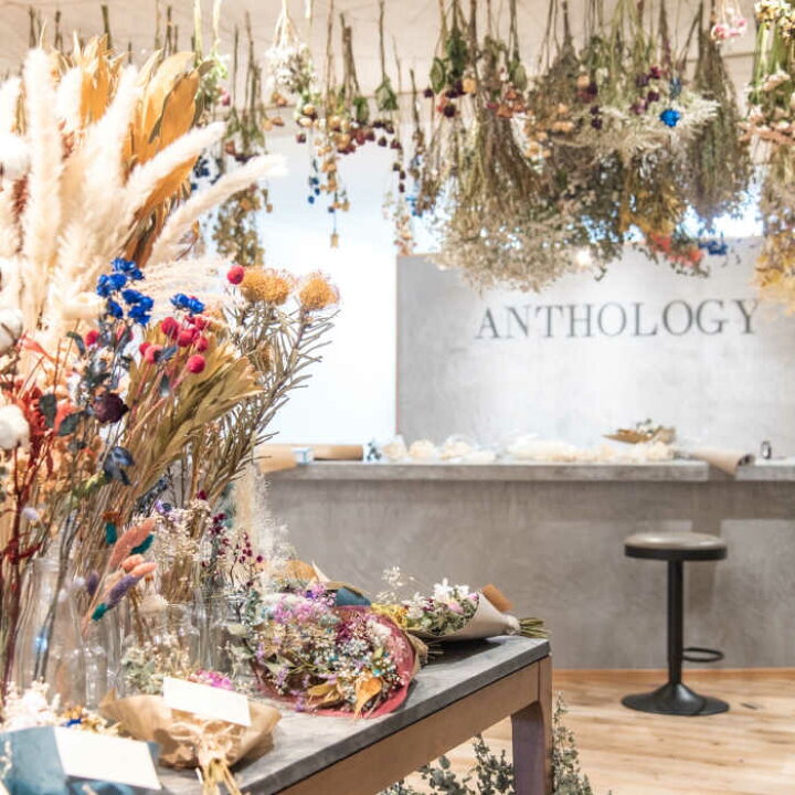 楽天市場 ふるさと納税 ドライフラワースワッグllサイズ ブルールーフ Blue Roof アンソロジー Anthology 糸島市 花 部屋 飾り 装飾 緑 インテリア アレンジメント Axf009 福岡県糸島市