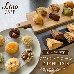 yӂ邳Ɣ[Łzy12ցz}tBEXR[ S18 Hה׃ZbgyLinoCAFEzĂَq/Zbg/Mtg//lߍ킹/mJtF [AXI004] 166000~ 150000~ 15