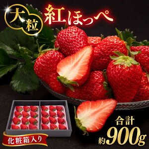 �y�ӂ邳�Ɣ[�Łz�y��s��t�z�����Y �g�ق��� 800-900g �����s / ���R�_���y2026�N1����{�ȍ~���������z[AXN001] �C�`�S � �嗱 12000�~ 1��2��~