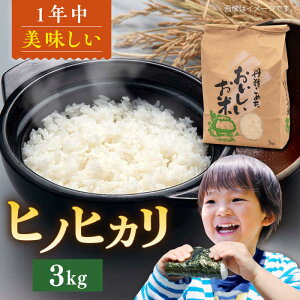 yӂ邳Ɣ[ŁzY qmqJ 3kg s / R_     3kg[AXN005] 11000~ 11~ 퉷