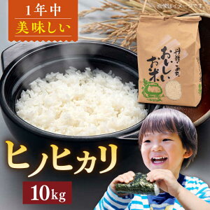 yӂ邳Ɣ[ŁzY qmqJ 10kg s / R_       10kg[AXN006] 30000~ 3~ 퉷