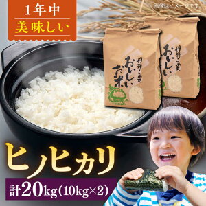 yӂ邳Ɣ[ŁzY qmqJ 20kg s / R_       20kg[AXN007] 60000~ 6~ 퉷