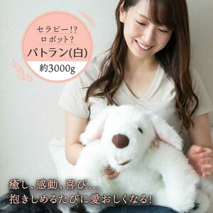 yӂ邳Ɣ[Łz^Zs[HI{bgHpg̔iʏ́FVj s / ȊwH[ [AYI003]  ʂ 220000~ 22~ 200000~ 20