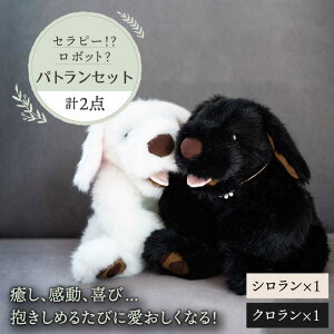 yӂ邳Ɣ[ŁzV  N i pg 2_Zbg j s / ȊwH[ [AYI004]  ʂ 440000~ 44~ 400000~ 40