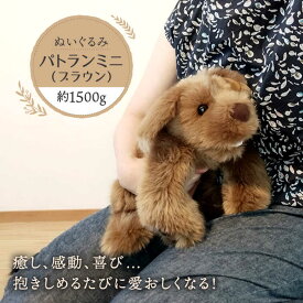 【ふるさと納税】パトランミニ・ブラウン 糸島市 / 科学工房未來 犬 ペット ぬいぐるみ [AYI006] 100000円 10万円