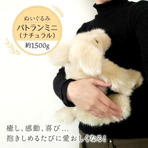 yӂ邳Ɣ[Łzpg~jEi` s / ȊwH[  ybg ʂ[AYI007] 107000~ 100000~ 10~