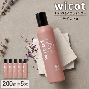 yӂ邳Ɣ[Łzy5{zwicot XJvwAVv[CXga s / Ѓs[ [AZA160] XJv Vv[ 55000 55~ 퉷