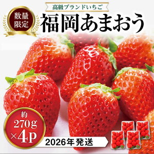yӂ邳Ɣ[Łzys\z ܂  1,080g (  270g × 4pbN ) y2026N1{菇zs / HSP-eNm [AZL001] Of   12000~