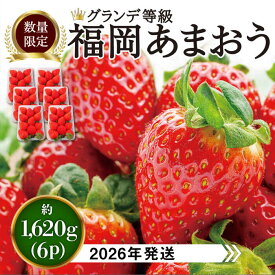 【ふるさと納税】【先行予約】 あまおう いちご 1,620g ( 約 270g × 6パック )【2026年3月初旬より順次発送】 糸島市 / 株式会社HSP-テクノ [AZL002] グランデ等級 福岡県産 15000円 1万5千円