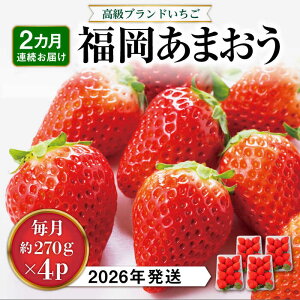 yӂ邳Ɣ[ŁzyS2ցz ܂  1,080g (  270g × 4pbN ) y2026Nzs / HSP-eNm [AZL005] Of   24000~