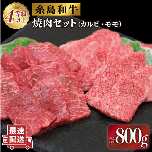 yӂ邳Ɣ[ŁzȁēZbg800g(Jr400g/400g) s / JAYs ɓs؍[AED008] 21000~ јa ①z