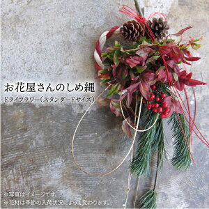 yӂ邳Ɣ[ŁzyNzԉ  ߓ hCt[ (X^_[hTCY ) y2025N1215ȍ~zz s / PLAISIR[ANC003]   14000~ 14~