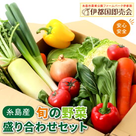 【ふるさと納税】福岡県 糸島産 旬の野菜盛り合わせセット 糸島市 / ファームパーク伊都国 [AWC006] 15000円 1万5千円