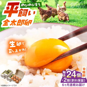 yӂ邳Ɣ[Łzy6ցzyTVŏЉIzyNxAA̐EōNIzY ܂    H   ʎq VN 24i6×4pbNjLЃtWm