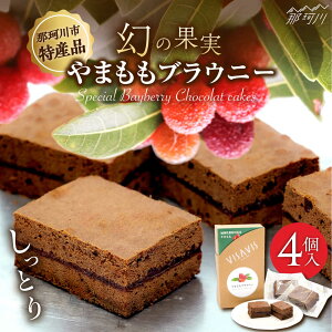 【ふるさと納税】やまももブラウニー 4個入 VISAVIS <株式会社シークス> 那珂川市 チョコレート ケーキ VISAVIS 国産 大人気 お菓子 菓子 スイーツ 洋菓子 ケーキ おすすめ 美味しい おいしい