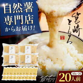 【ふるさと納税】筥崎とろろ 自然薯のだしわりとろろ 計1kg（20食セット × 50g) 冷凍 個包装 無添加 業務用＜株式会社九千部＞ 那珂川市[GAZ004]