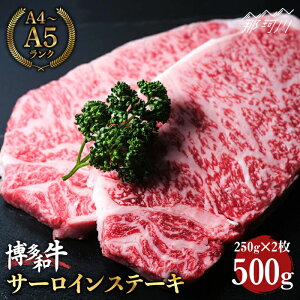 yӂ邳Ɣ[Łzy喞Ỉlza  T[C Xe[L 500gi250g×2ĵ܂Ɖ߉ϐs |  јa uh Y BBQ o[xL[ a BY Ԑg 