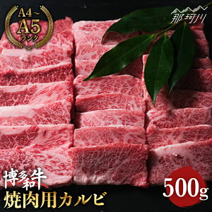 yӂ邳Ɣ[ŁzyԐgƑ~̐▭ȃoXza  Ă oiJrj500g ̂܂Ɖ ߉ϐs |   јa uh Y BBQ o[xL[ ēp BBQ 