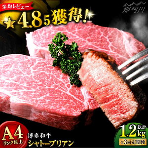 yӂ邳Ɣ[ŁzyS3ցz󏭕ʁIa  q Vg[uA 400gi200g×2ĵ܂Ɖ߉ϐs |    јa uh Y BBQ o[xL[ q