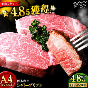 yӂ邳Ɣ[ŁzyS12ցz󏭕ʁI a  q Vg[uA 400gi200g×2ĵ܂Ɖ߉ϐs |    јa uh Y BBQ o[xL[ [G