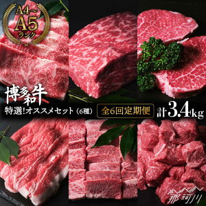 yӂ邳Ɣ[ŁzyS6ցzIIa 6 IXXց̂܂Ɖ߉ϐs |    јa uh Y BBQ o[xL[ a [X  Xe[