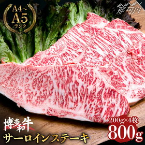 yӂ邳Ɣ[Łzy喞Ỉlza T[C Xe[L 200g×4 iv800gĵ܂Ɖ߉ϐs |   јa uh Y BBQ o[xL[ a   
