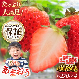 �y�ӂ邳�Ɣ[�Łz�y3���ȍ~���������z��s�\��I������ ���܂��� ��270g×4�p�b�N �߉ϐ�s ������ � �t���[�c �������� �ʕ� ���܂��� ��B�Y � ���Y[GBR001] 10000 10000�~ 1���~ �ȏ�