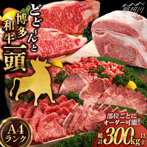 yӂ邳Ɣ[ŁzyꓪۂƃI[_[Iz a ꓪHאsZbgMEAT PLUS߉ϐs |  a јa a Y   ґ J[GBW138] 9990000 999