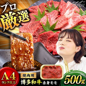 yӂ邳Ɣ[Łzya̎|\Iza Ԑgēp 500gMEAT PLUS߉ϐs |[GBW141] 10000 10000~ 1~ ȏ