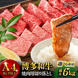 【ふるさと納税】【選べる定期便】【和牛の旨味を堪能！】博多和牛 牛肉 焼肉 500g バラ ロース モモ＜株式会社MEAT PLUS＞那珂川市 | [GBW003] 10000 10000円 1万円 以上