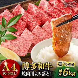 yӂ邳Ɣ[ŁzyIׂցzya̎|\Iza  ē 500g o [X MEAT PLUS߉ϐs | [GBW003] 10000 10000~ 1~ ȏ