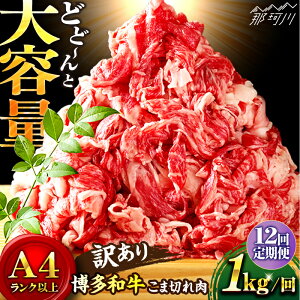 yӂ邳Ɣ[ŁzyIׂցIza  ؂藎Ƃ e 1kg or 500gMEAT PLUS߉ϐs | [GBW001] 10000 10000~ 1~ ȏ