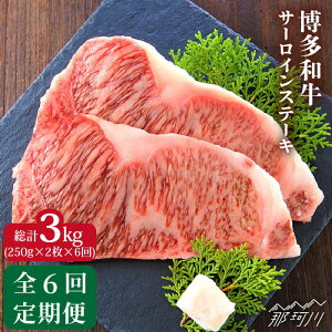 yӂ邳Ɣ[ŁzyS6ցza  T[C Xe[L 500gi250g×2jMEAT PLUS߉ϐs |  uh BBQ o[xL[󏭕 A LO   