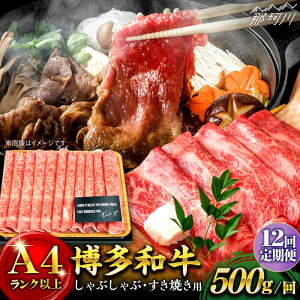 yӂ邳Ɣ[ŁzyS12ցza  XCX Ԃ Ă 500gMEAT PLUS߉ϐs |    јa uh Y BBQ o[xL[ 