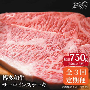 yӂ邳Ɣ[ŁzyS3ցza  T[C Xe[L 250g×1MEAT PLUS߉ϐs |  uh Y BBQ o[xL[  ґ  a LO  ƒp 