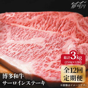 yӂ邳Ɣ[ŁzyS12ցza  T[C Xe[L 250g×1MEAT PLUS߉ϐs |  јa uh Y BBQ o[xL[  ґ  a LO 