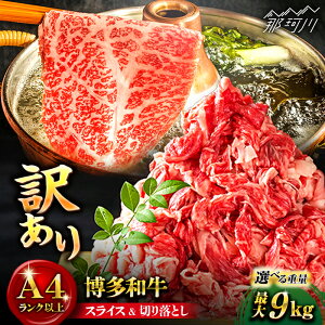 yӂ邳Ɣ[ŁzyIׂցzy󂠂za XCX&؂藎ƂZbg v750g`9kgMEAT PLUS߉ϐs |   јa uh Y BBQ o[xL[ [GBW048] 10000 10