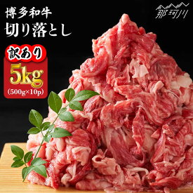 【ふるさと納税】【訳あり】博多和牛 切り落とし 5kg（500g×10p）＜株式会社MEAT PLUS＞那珂川市 牛肉 肉 黒毛和牛 ブランド牛 国産 BBQ バーベキュー [GBW054] 60000 60000円 6万円