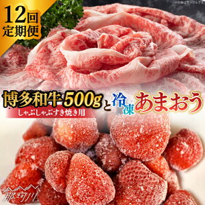 yӂ邳Ɣ[ŁzyS12ցzy󂠂za Ԃ  ܂ Zbg 1.3kgMEAT PLUS ߉ϐs |   t[c  ʕ ܂ BY  Y 