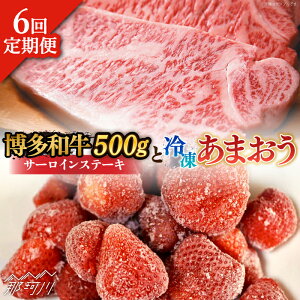 yӂ邳Ɣ[ŁzyS6ցzy󂠂za T[CXe[L  ܂ Zbg1.3kgMEAT PLUS ߉ϐs |   t[c  ʕ ܂ BY  