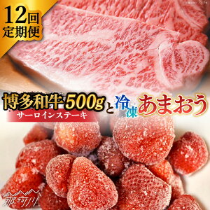 yӂ邳Ɣ[ŁzyS12ցzy󂠂za T[CXe[L  ܂ Zbg1.3kgMEAT PLUS ߉ϐs |   t[c  ʕ ܂ BY 